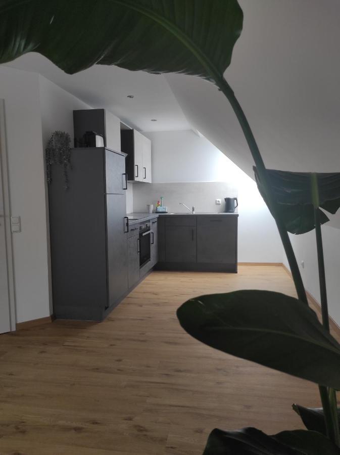 Scheid  Ferienwohnung Im Distelweg מראה חיצוני תמונה