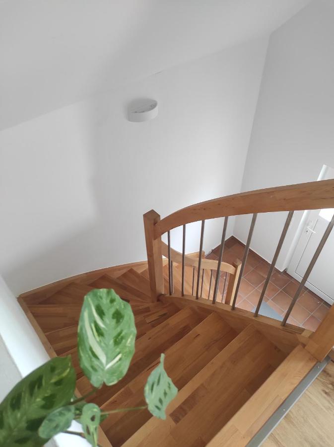 Scheid  Ferienwohnung Im Distelweg מראה חיצוני תמונה